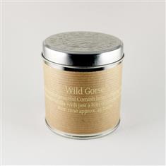 Wild Gorse Candle