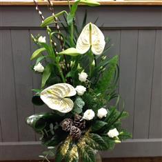 Modern Christmas Display