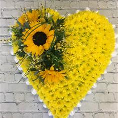 Sunflower Heart Tribute