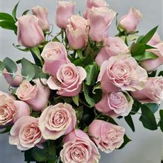 Pink Roses hand tied
