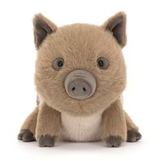 Swinley Boar