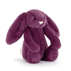 Bashful Allium Bunny