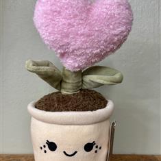 Everlasting Pink Heart Plant