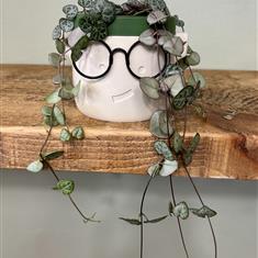 Shelfie Chain of hearts plant and pot