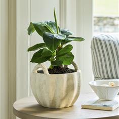 Horcott Pot With Handles