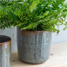 Hillesley Pot