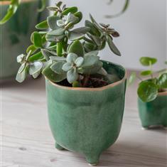 Positano Pot