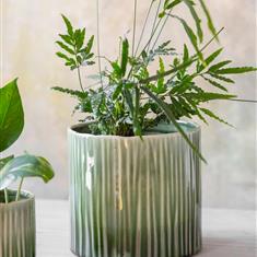Nettleton Pot 