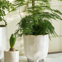 Positano Pot White