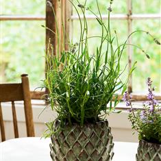 Wilcot Pot 15cm