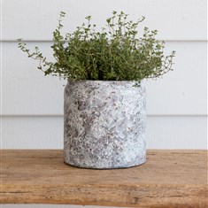 Withington Pot
