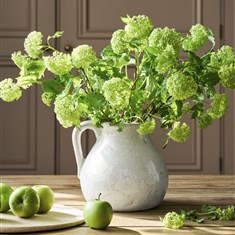 Ravello Flower Jug