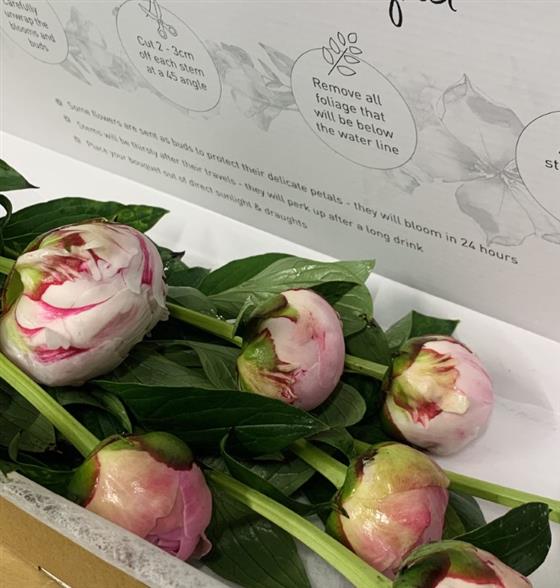 Letterbox Flowers Peonies